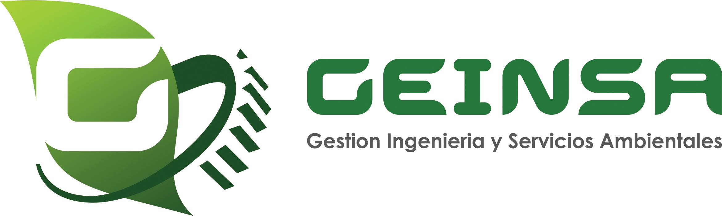 Geinsa S.A.C.